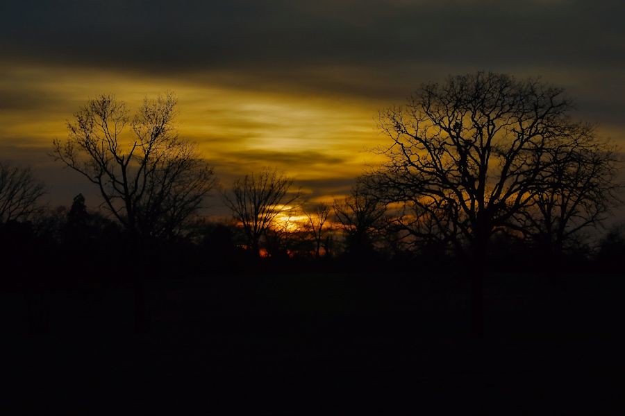 In the Still of the Night-I