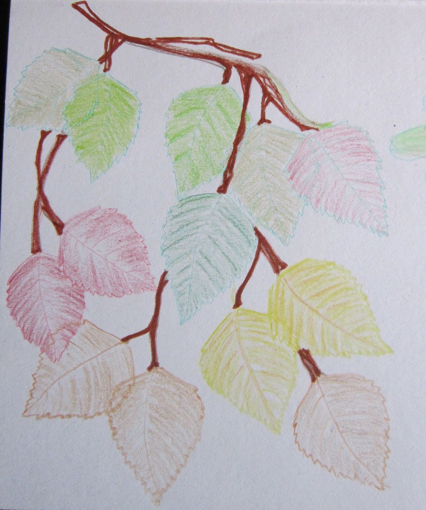El color del oto&ntilde;o
