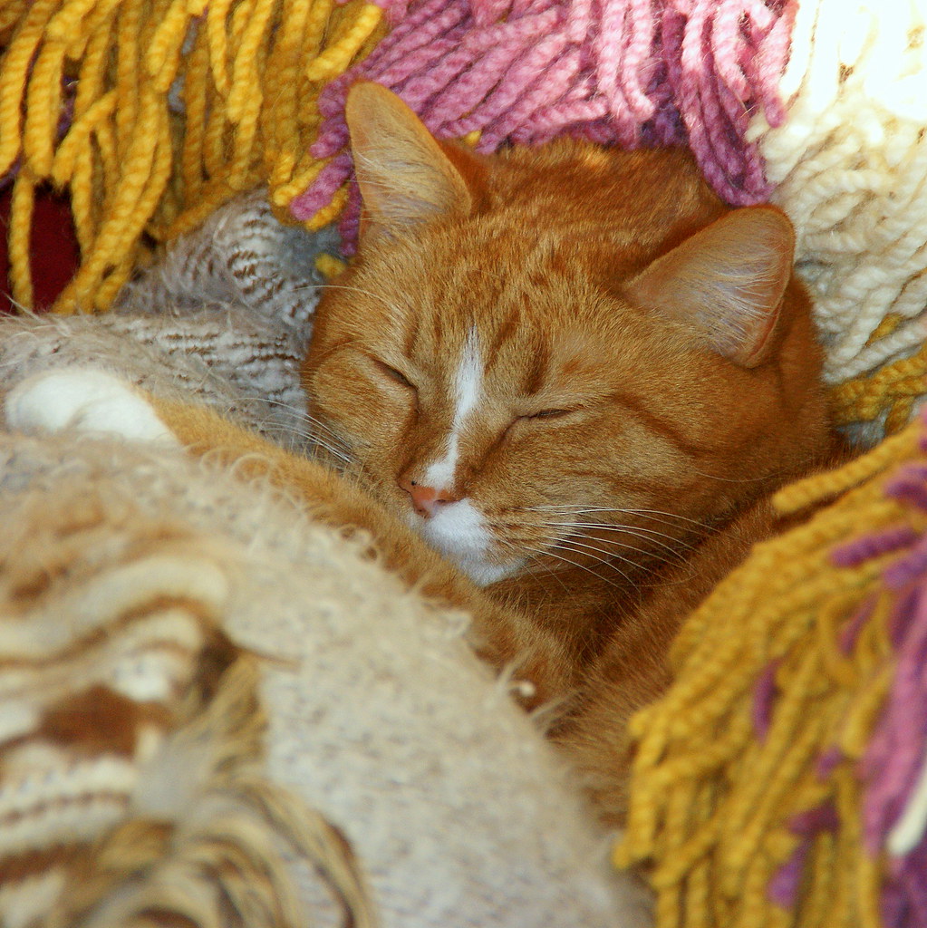 have a cozy weekend ;-)