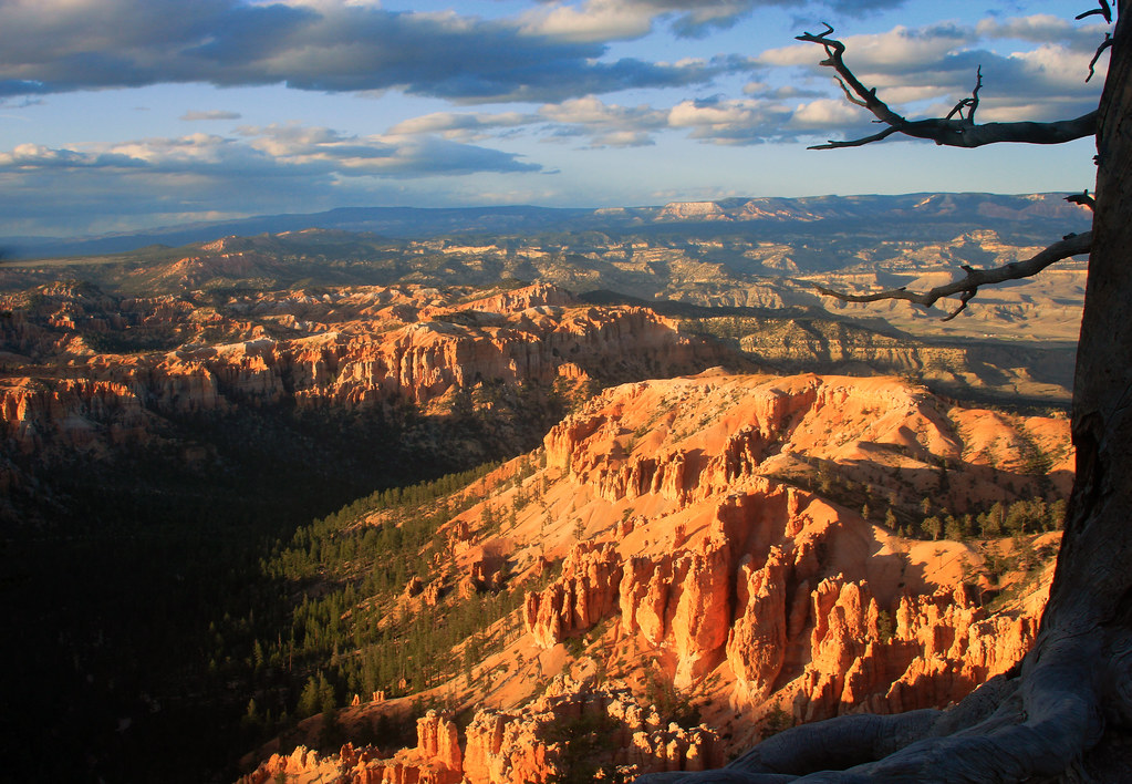 Bryce Canyon Golden Hour