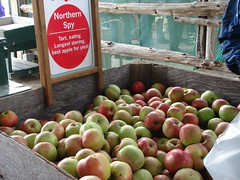 Northern Spy Apples