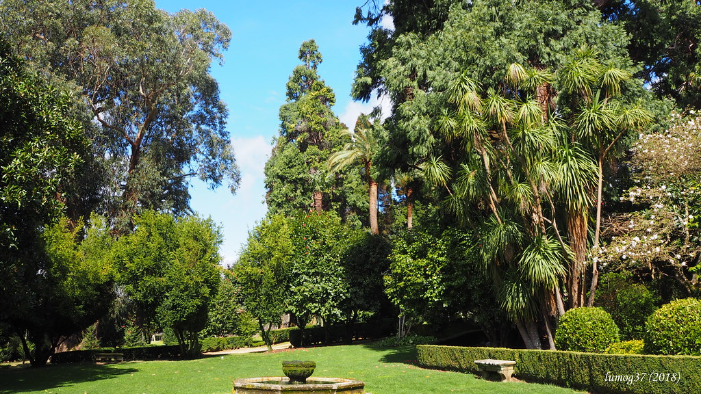 Jardines del Pazo de Rubianes (1).