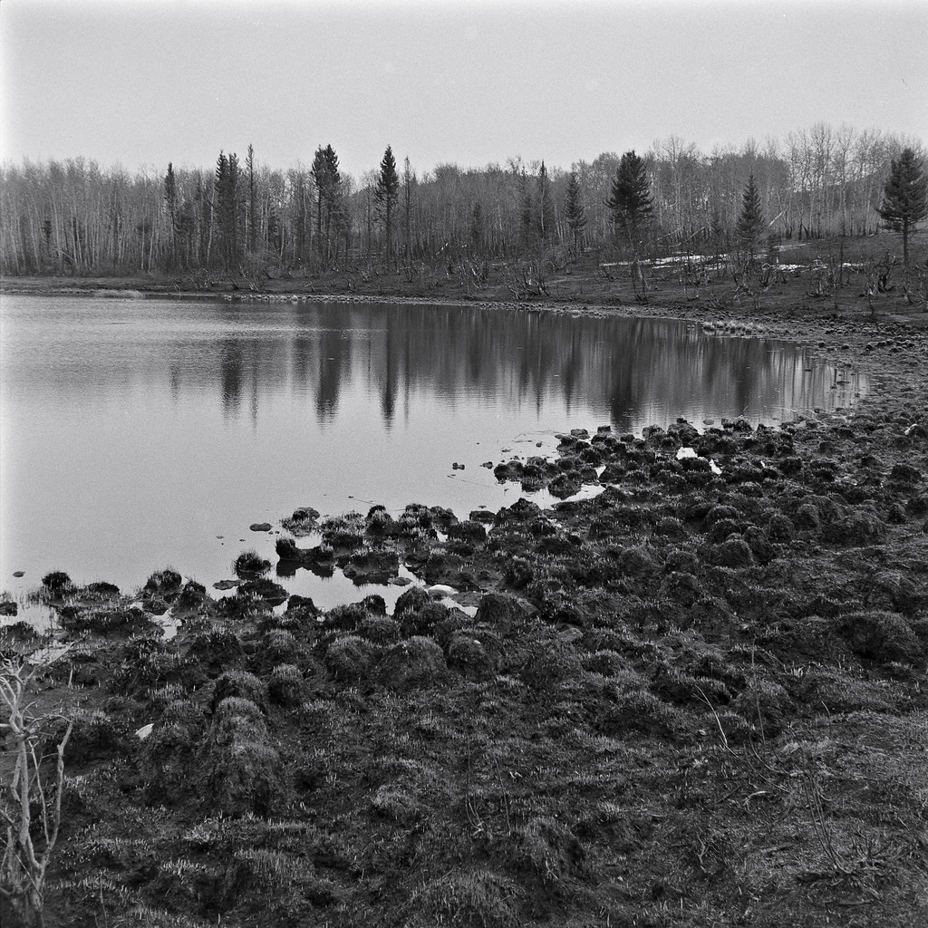 pond in the foothills, recent grass fire