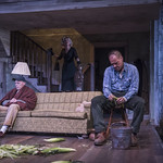 Larry Yando, Shannon Cochran and Mark L. Montgomery in BURIED CHILD at Writers Theatre. Photo by Michael Brosilow.