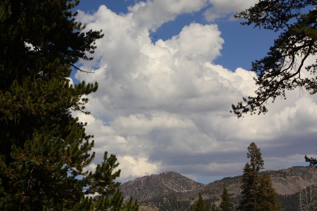 O Cloudy Day...