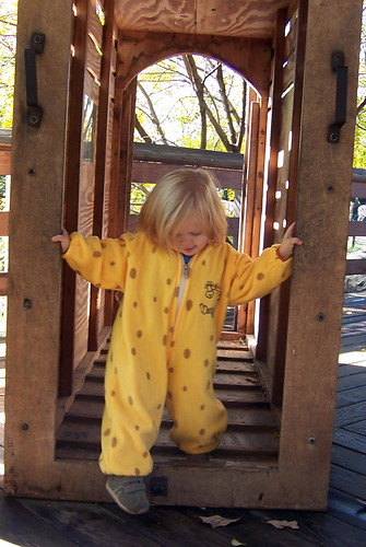 giraffe_shipping_cage2