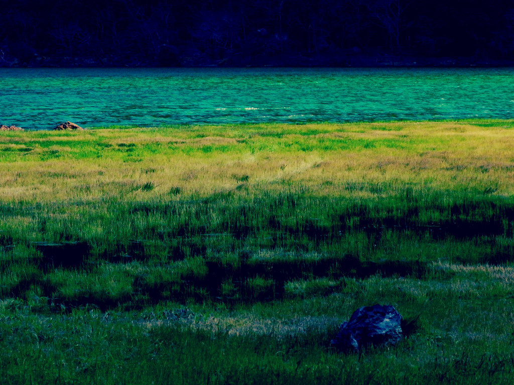 Green Lagoon