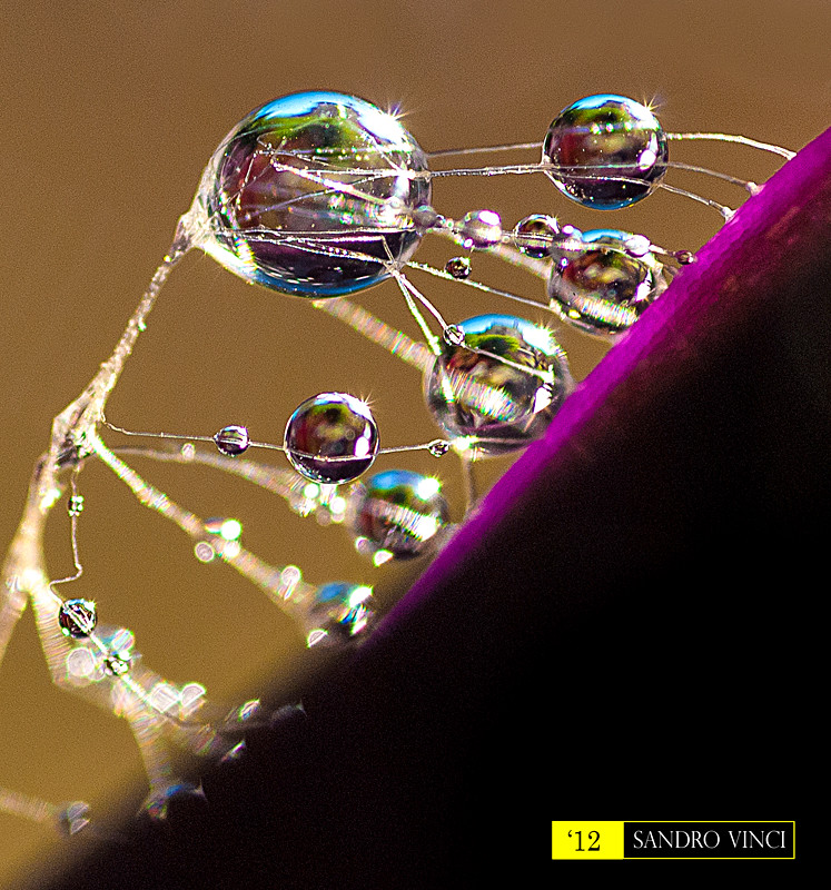 Jewels of nature - Gioielli della natura [Explore]