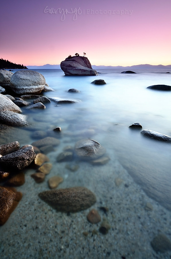 Bonsai Rock