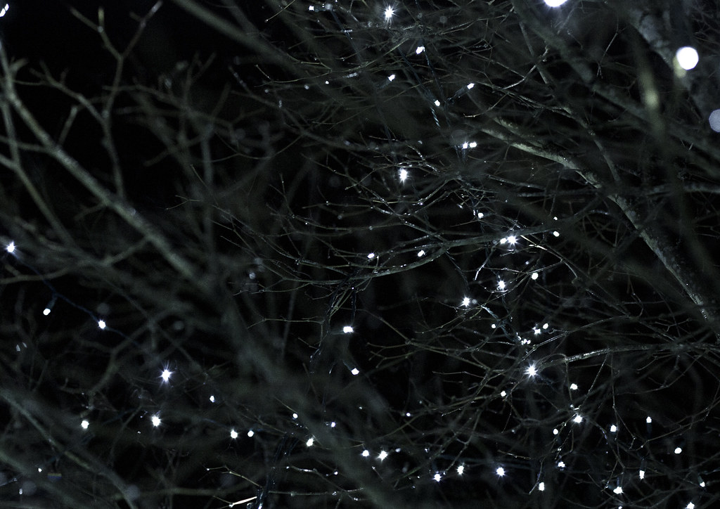 The Magik Garden