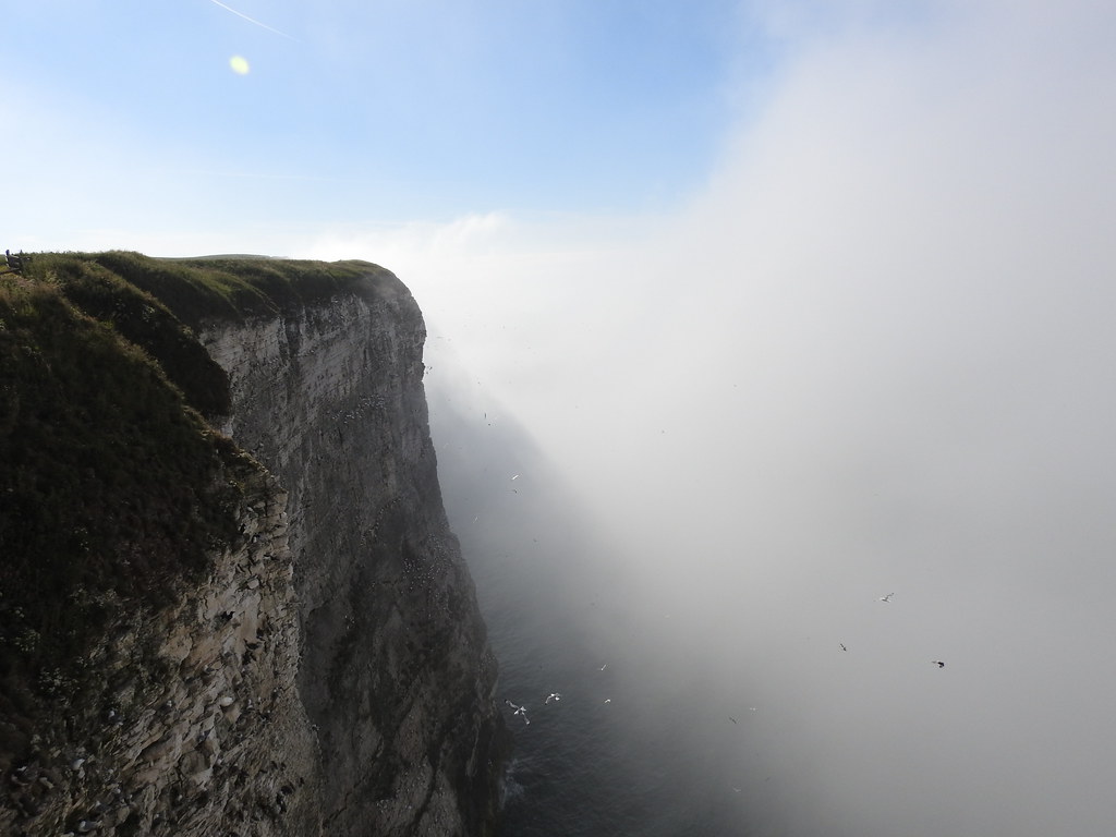 Sea Fret at RSPB Bempton Cliffs near Bridlington, North Yorkshire, England - June 2018