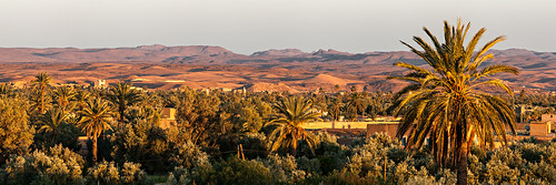Palmeraie de Skoura, Maroc 2013