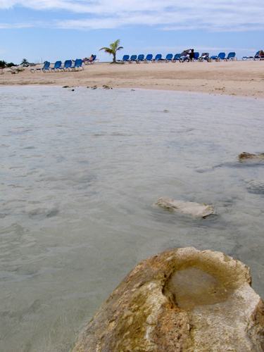 The Beach