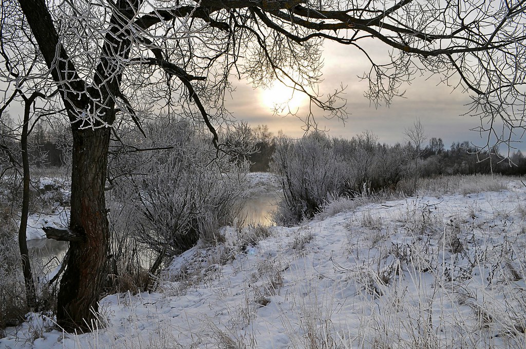 Dawn / Рассвет
