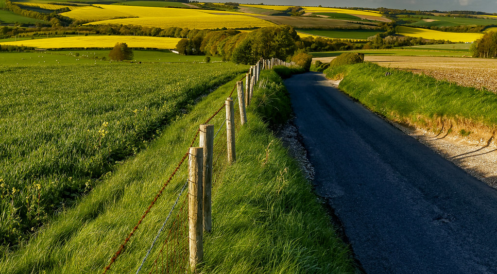 Wiltshire country Road