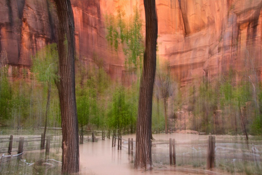 Zion Spring Time
