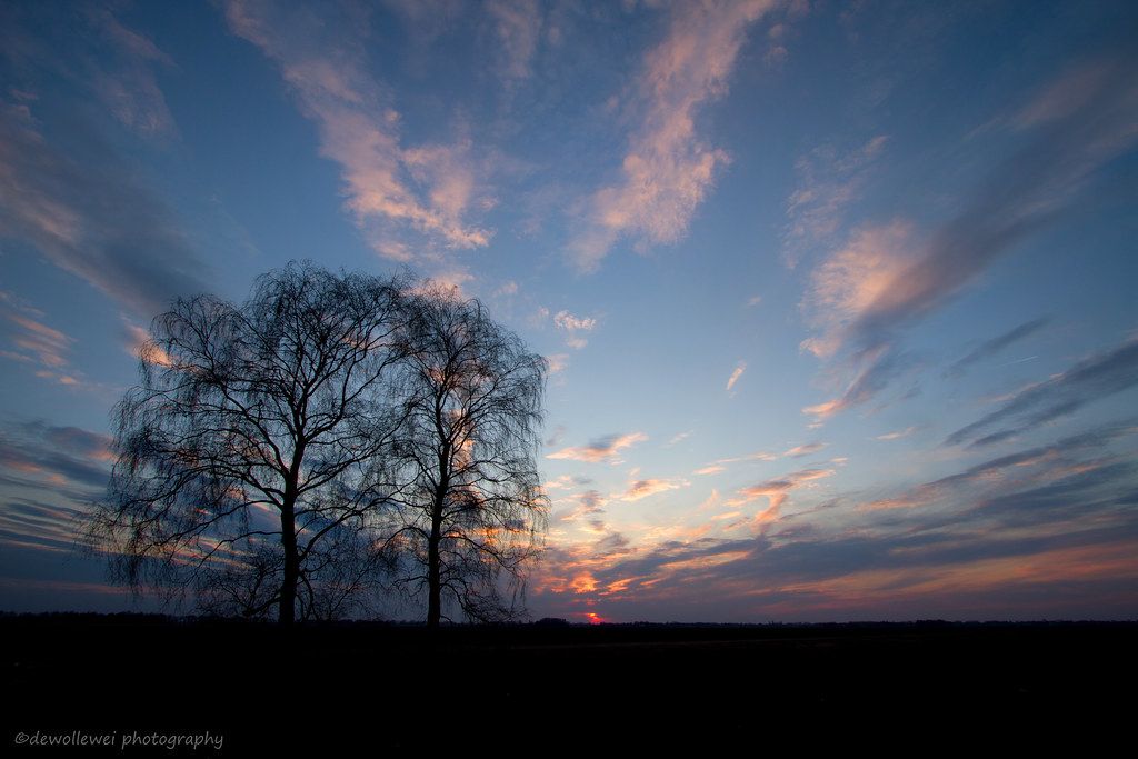 Great opportunities to help others seldom come, but small ones surround us every day. ~Sally Koch