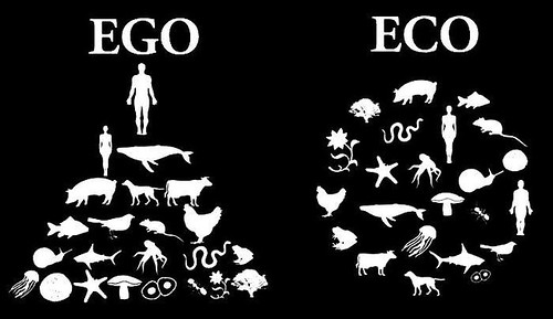 Ego:Eco