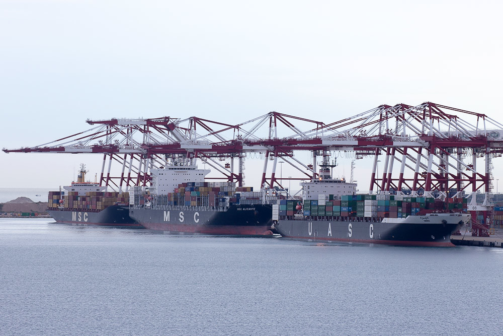 Deira, MSC Alicante and MSC Eloise