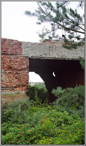 Bridge