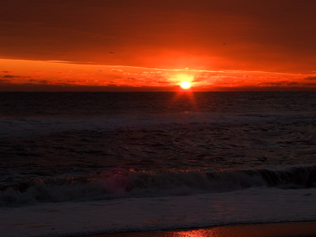 OBX
