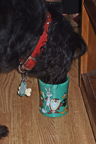 Mmm, Tea