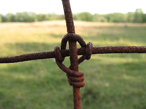wire fence