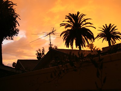 Vue de ma fenêtre - Californie