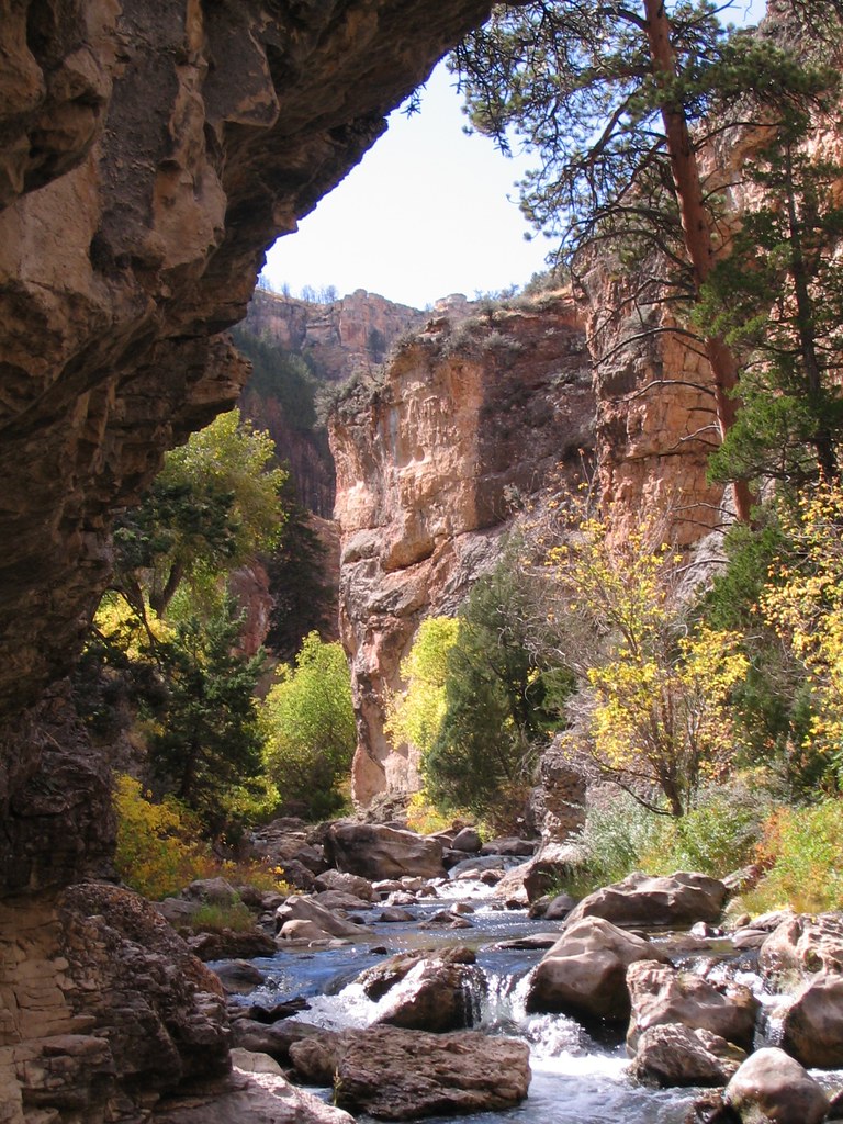 #mypubliclandsroadtrip 2016: Wildlife Watching, Southern Bighorn Mountains