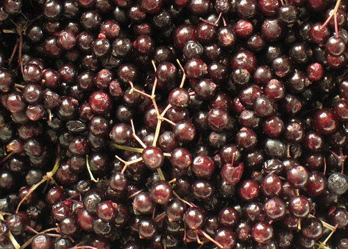 Elderberries