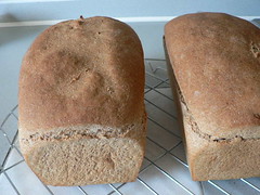 Brown Bread 009