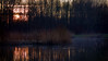 41434797121_8d11ef0641_t