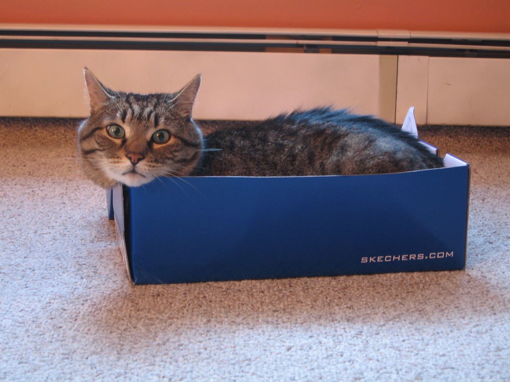 Shoebox