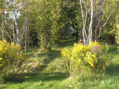 U of G Arboretum