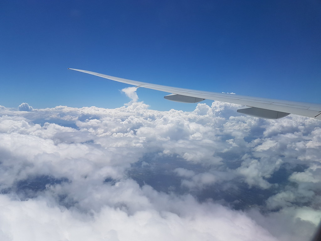 Fly