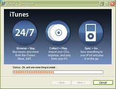 One more thing to install for iTunes 7!