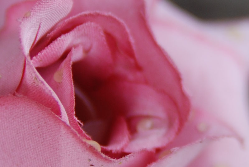 1:1 crop again