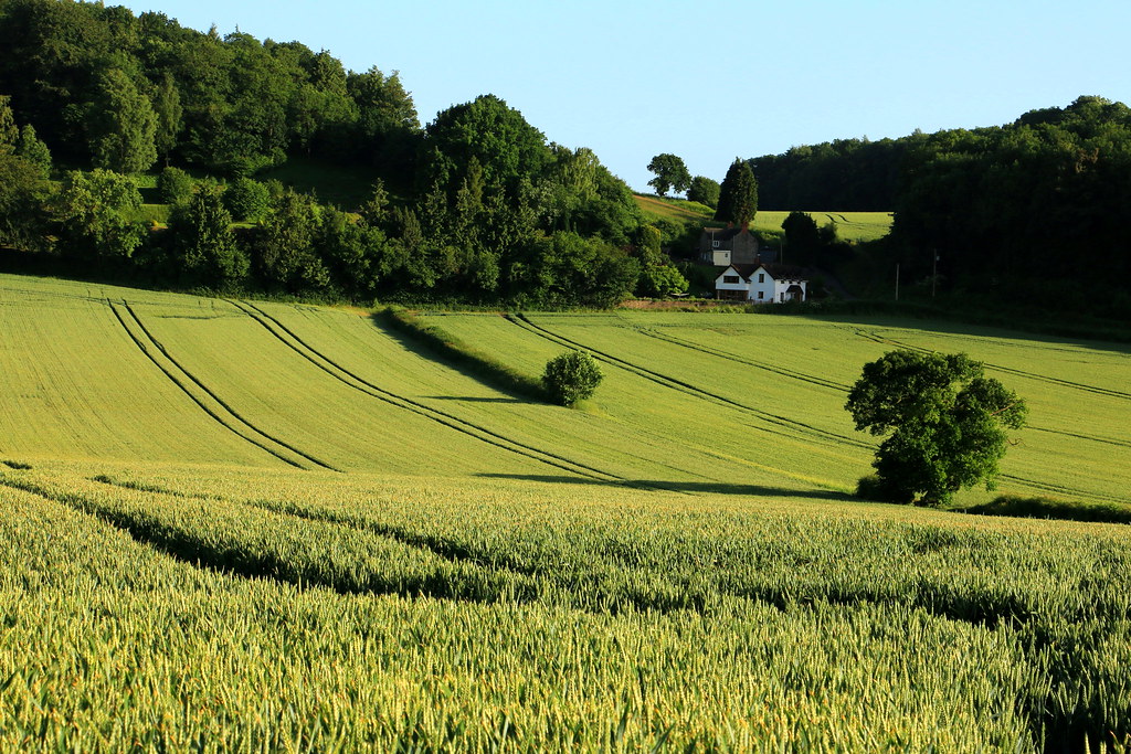 How Green Is My Valley