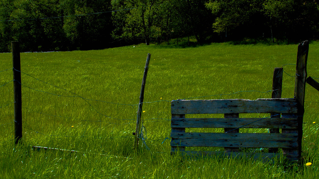 The gate