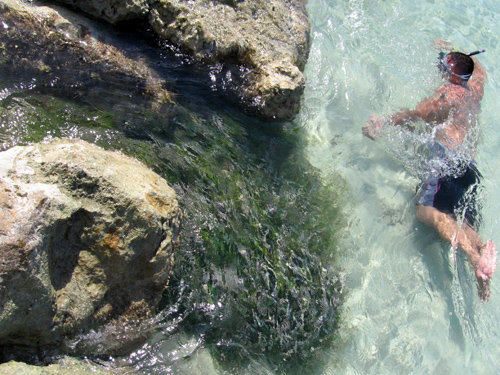 Snorkeling