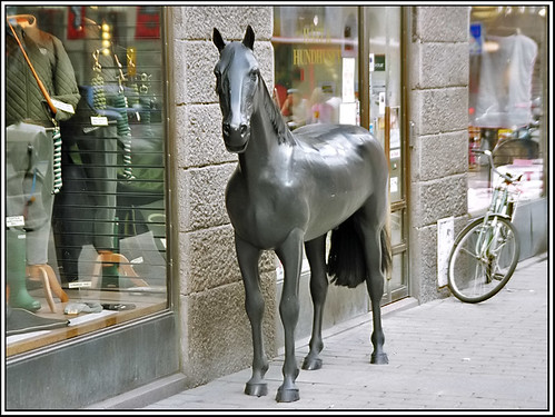 Horse with a bicycle