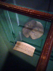 The First Ether Sponge