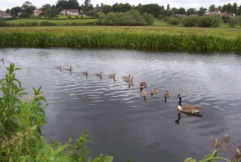 Watermead Country Park,Leicestershire