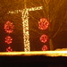 DSCN3058