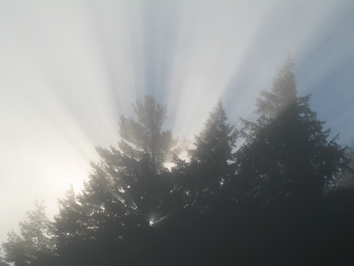 Sunrise 3