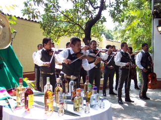 tequila mariachi