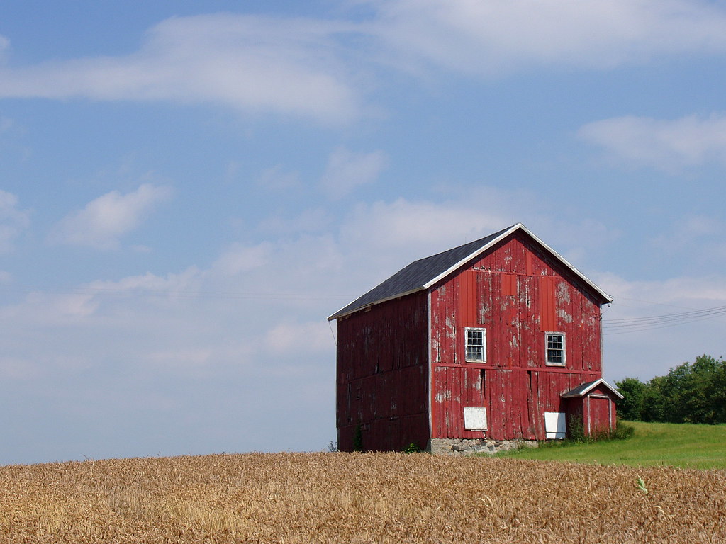 The Middle of Nowhere