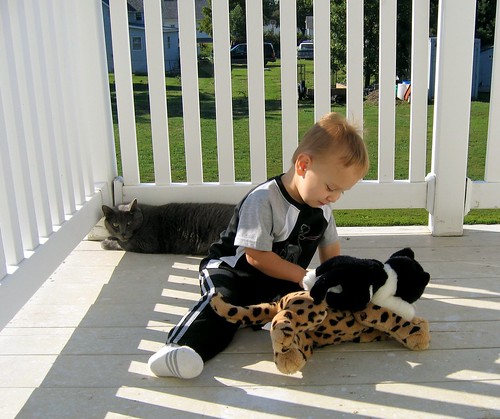 Toby & His Three Kitties