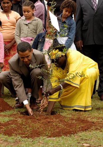 Résultat de recherche d'images pour "Wangari Muta Maathai"