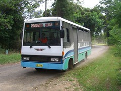 School bus coming home